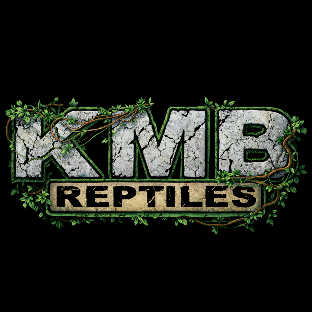 KMB Reptiles